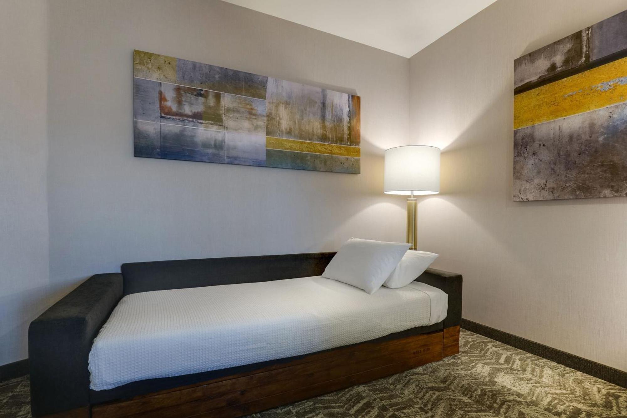 Springhill Suites By Marriott Cheraw Exterior foto